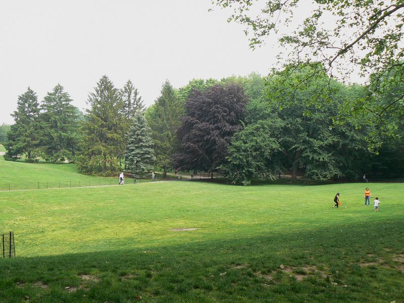 Central Park et autour: Cedar Hill 2